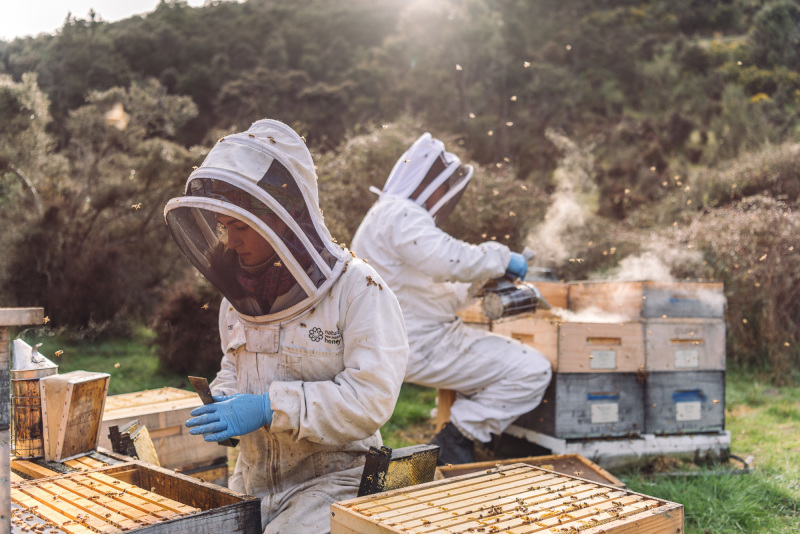 Find a Photographer-13.jpg